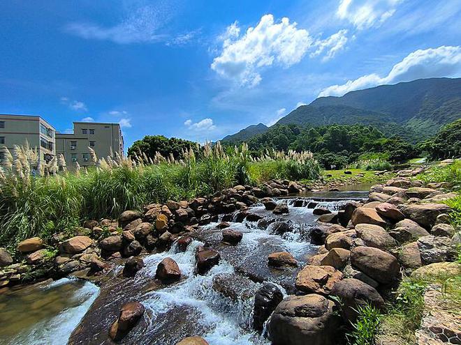 明年经济信号已至：解读市场新动向与经济新趋势